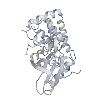 15757_8aza_A_v1-1
Structure of RIP2K dimer bound to the XIAP BIR2 domain