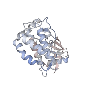 15757_8aza_B_v1-1
Structure of RIP2K dimer bound to the XIAP BIR2 domain