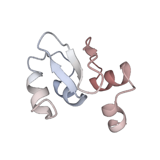 15757_8aza_C_v1-1
Structure of RIP2K dimer bound to the XIAP BIR2 domain