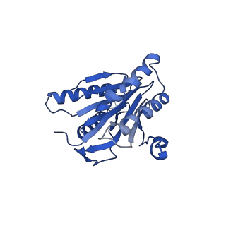 15767_8azk_2_v1-0
Bovine 20S proteasome, untreated