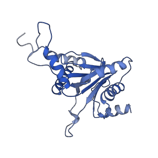 15767_8azk_A_v1-0
Bovine 20S proteasome, untreated