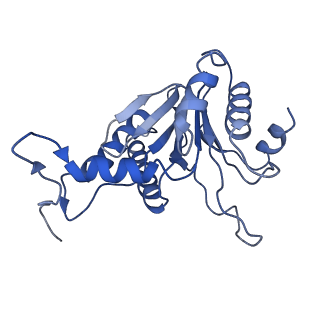 15767_8azk_B_v1-0
Bovine 20S proteasome, untreated