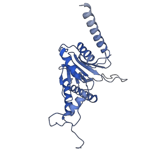 15767_8azk_C_v1-0
Bovine 20S proteasome, untreated