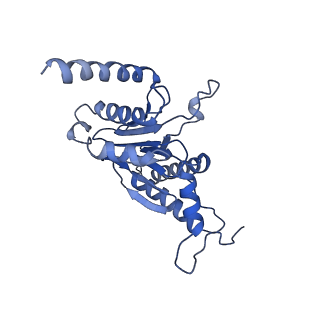 15767_8azk_D_v1-0
Bovine 20S proteasome, untreated