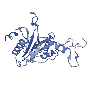 15767_8azk_E_v1-0
Bovine 20S proteasome, untreated