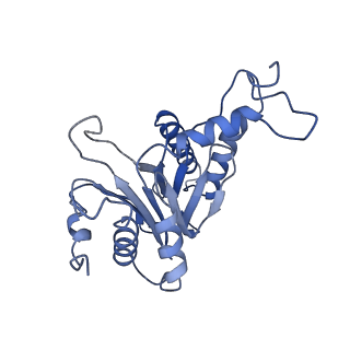 15767_8azk_F_v1-0
Bovine 20S proteasome, untreated