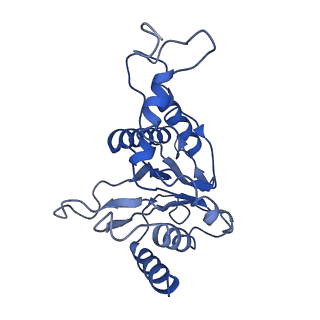 15767_8azk_G_v1-0
Bovine 20S proteasome, untreated