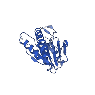 15767_8azk_H_v1-0
Bovine 20S proteasome, untreated