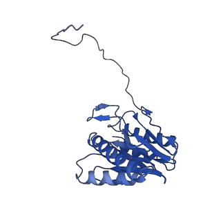 15767_8azk_I_v1-0
Bovine 20S proteasome, untreated