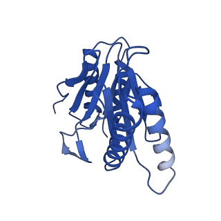 15767_8azk_K_v1-0
Bovine 20S proteasome, untreated