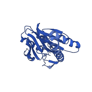 15767_8azk_L_v1-0
Bovine 20S proteasome, untreated