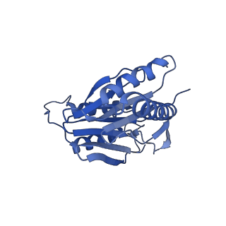 15767_8azk_M_v1-0
Bovine 20S proteasome, untreated