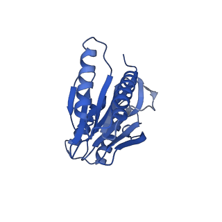 15767_8azk_N_v1-0
Bovine 20S proteasome, untreated