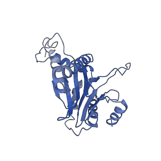 15767_8azk_O_v1-0
Bovine 20S proteasome, untreated