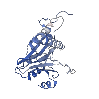 15767_8azk_P_v1-0
Bovine 20S proteasome, untreated