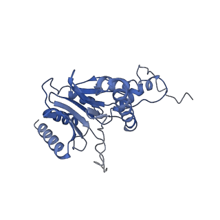 15767_8azk_Q_v1-0
Bovine 20S proteasome, untreated