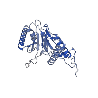 15767_8azk_R_v1-0
Bovine 20S proteasome, untreated