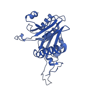 15767_8azk_S_v1-0
Bovine 20S proteasome, untreated