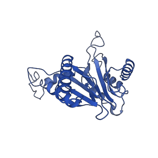 15767_8azk_U_v1-0
Bovine 20S proteasome, untreated