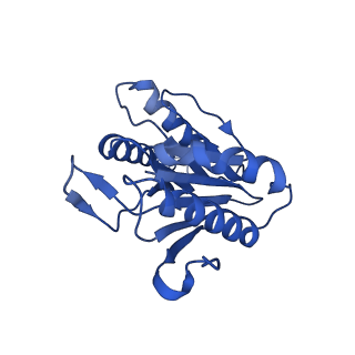 15767_8azk_V_v1-0
Bovine 20S proteasome, untreated