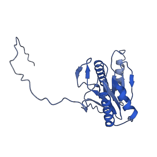 15767_8azk_W_v1-0
Bovine 20S proteasome, untreated