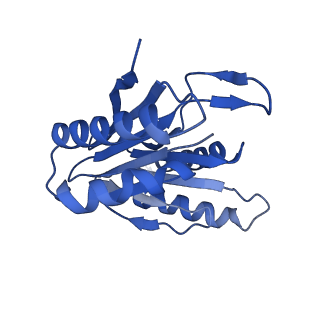 15767_8azk_Y_v1-0
Bovine 20S proteasome, untreated