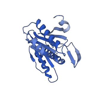 15767_8azk_Z_v1-0
Bovine 20S proteasome, untreated