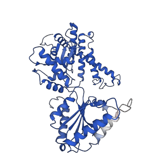7023_6az0_A_v1-3
Mitochondrial ATPase Protease YME1