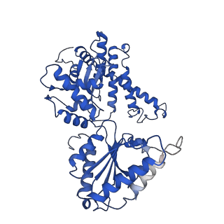 7023_6az0_A_v1-4
Mitochondrial ATPase Protease YME1