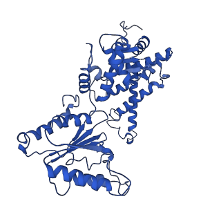 7023_6az0_B_v1-3
Mitochondrial ATPase Protease YME1