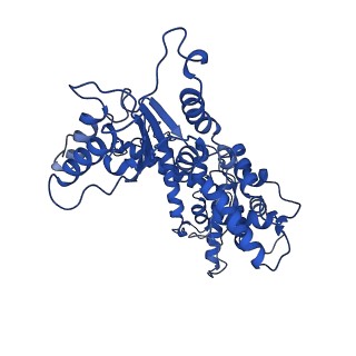 7023_6az0_D_v1-3
Mitochondrial ATPase Protease YME1