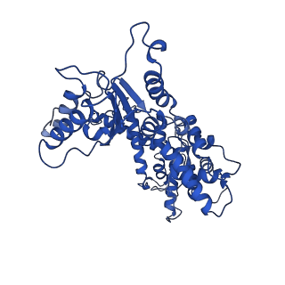 7023_6az0_D_v1-4
Mitochondrial ATPase Protease YME1