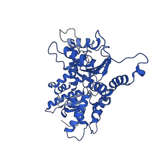7023_6az0_E_v1-3
Mitochondrial ATPase Protease YME1