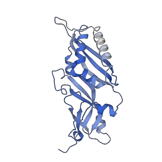 7024_6az1_A_v1-1
Cryo-EM structure of the small subunit of Leishmania ribosome bound to paromomycin