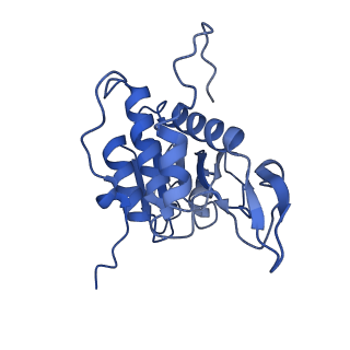 7024_6az1_B_v1-1
Cryo-EM structure of the small subunit of Leishmania ribosome bound to paromomycin