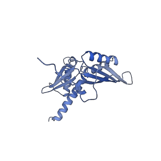 7024_6az1_C_v1-1
Cryo-EM structure of the small subunit of Leishmania ribosome bound to paromomycin