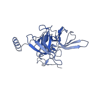 7024_6az1_E_v1-1
Cryo-EM structure of the small subunit of Leishmania ribosome bound to paromomycin