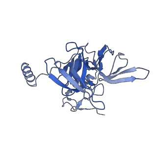 7024_6az1_E_v2-0
Cryo-EM structure of the small subunit of Leishmania ribosome bound to paromomycin