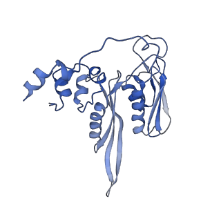 7024_6az1_F_v1-1
Cryo-EM structure of the small subunit of Leishmania ribosome bound to paromomycin