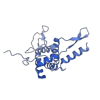 7024_6az1_H_v1-1
Cryo-EM structure of the small subunit of Leishmania ribosome bound to paromomycin