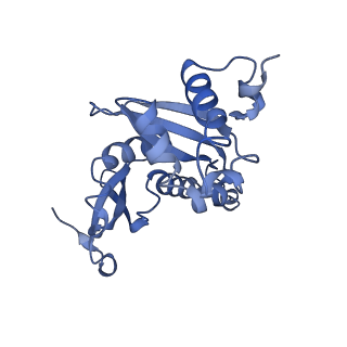 7024_6az1_I_v1-1
Cryo-EM structure of the small subunit of Leishmania ribosome bound to paromomycin