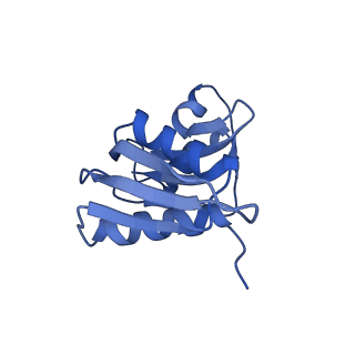 7024_6az1_J_v1-1
Cryo-EM structure of the small subunit of Leishmania ribosome bound to paromomycin
