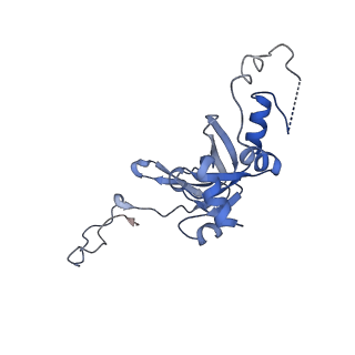 7024_6az1_K_v1-1
Cryo-EM structure of the small subunit of Leishmania ribosome bound to paromomycin