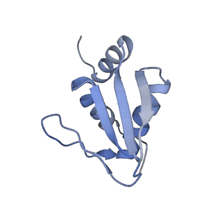 7024_6az1_N_v1-1
Cryo-EM structure of the small subunit of Leishmania ribosome bound to paromomycin