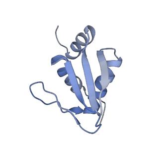 7024_6az1_N_v2-0
Cryo-EM structure of the small subunit of Leishmania ribosome bound to paromomycin