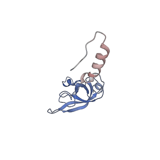 7024_6az1_P_v1-1
Cryo-EM structure of the small subunit of Leishmania ribosome bound to paromomycin