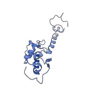 7024_6az1_R_v1-1
Cryo-EM structure of the small subunit of Leishmania ribosome bound to paromomycin