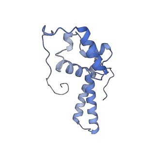 7024_6az1_T_v1-1
Cryo-EM structure of the small subunit of Leishmania ribosome bound to paromomycin