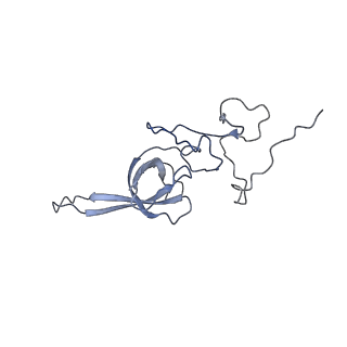 7024_6az1_U_v1-1
Cryo-EM structure of the small subunit of Leishmania ribosome bound to paromomycin