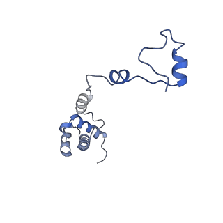 7024_6az1_V_v1-1
Cryo-EM structure of the small subunit of Leishmania ribosome bound to paromomycin